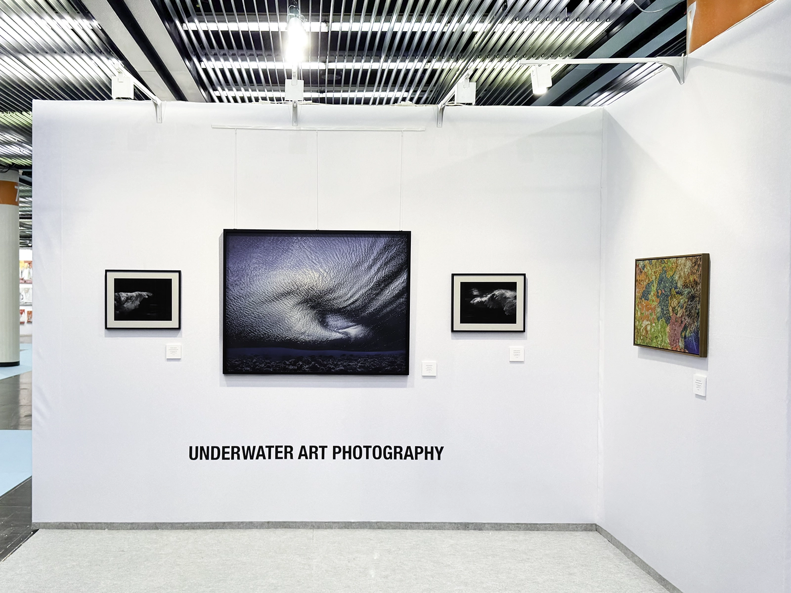 Galeria Boot - Experiences - Underwater Photography by Alexej Sachov