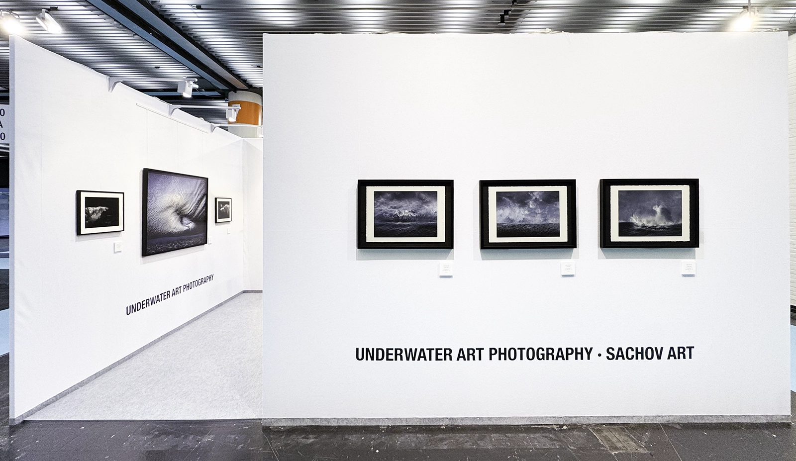 Galeria Boot - Experiences - Underwater Photography by Alexej Sachov