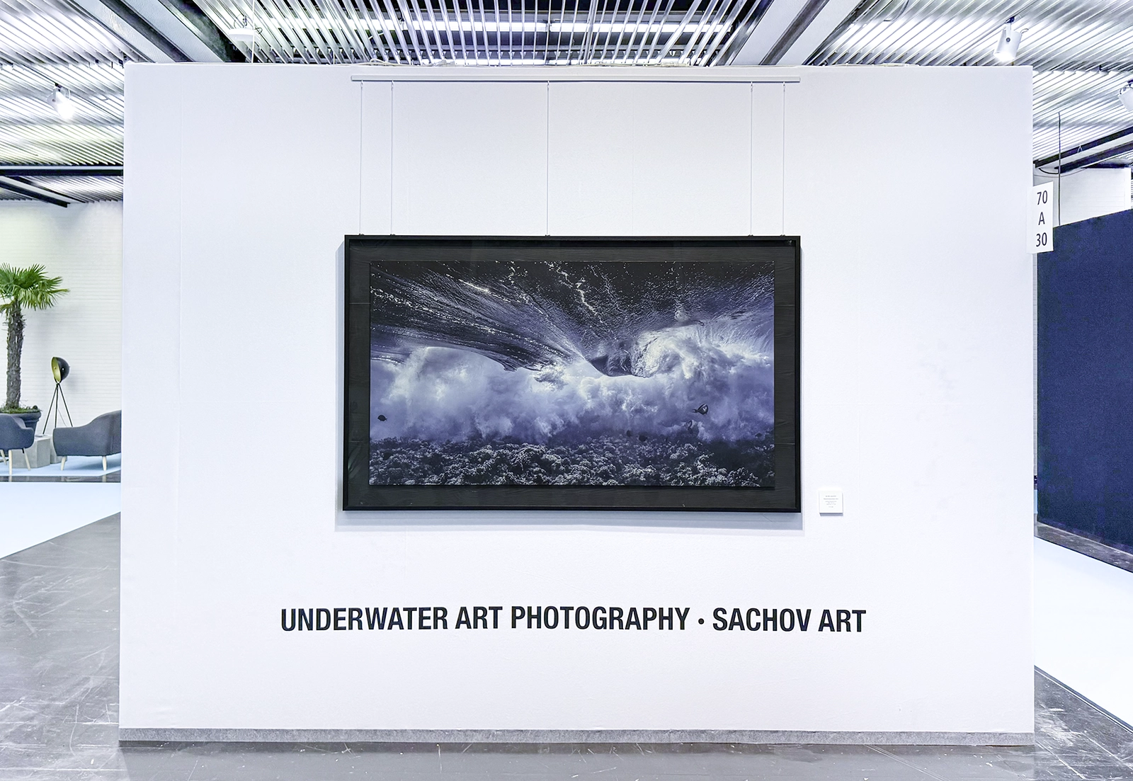 Galeria Boot - Experiences - Underwater Photography by Alexej Sachov