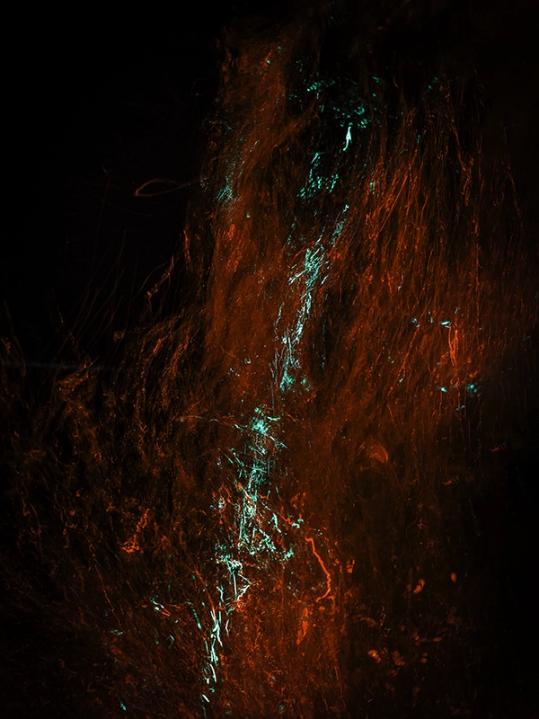 Abstract Art Underwater — &ldquo;Blood #19&rdquo; (2023) - Photograph by Alexej Sachov.