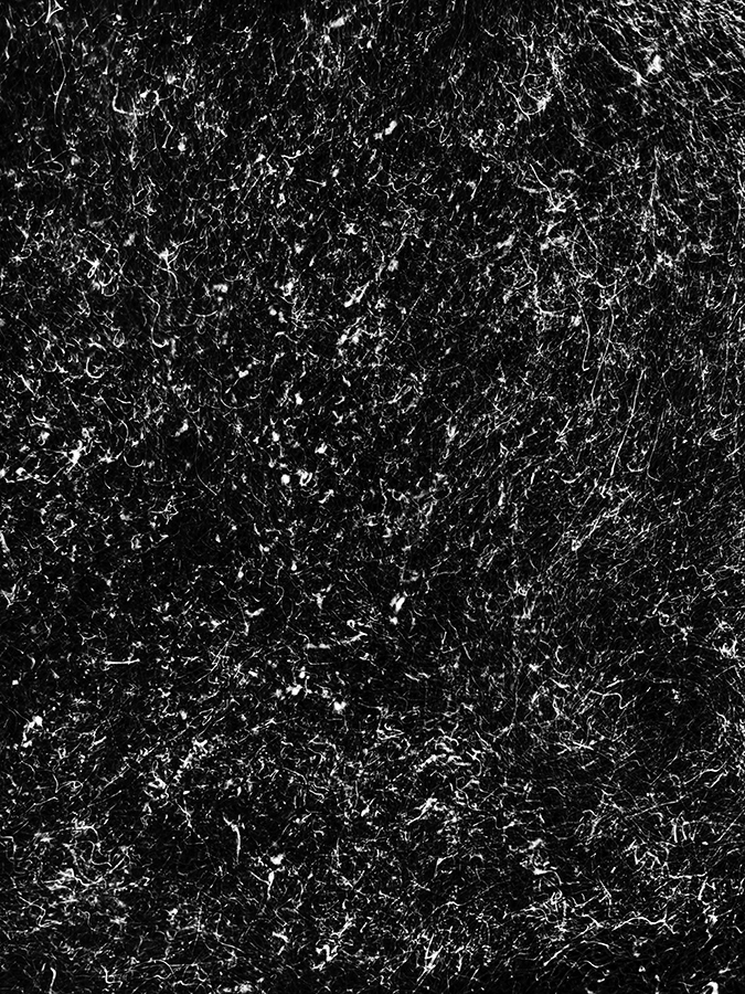 Micro Code (2022) by Alexej Sachov, abstract underwater photograph from The Secret Code of Nature