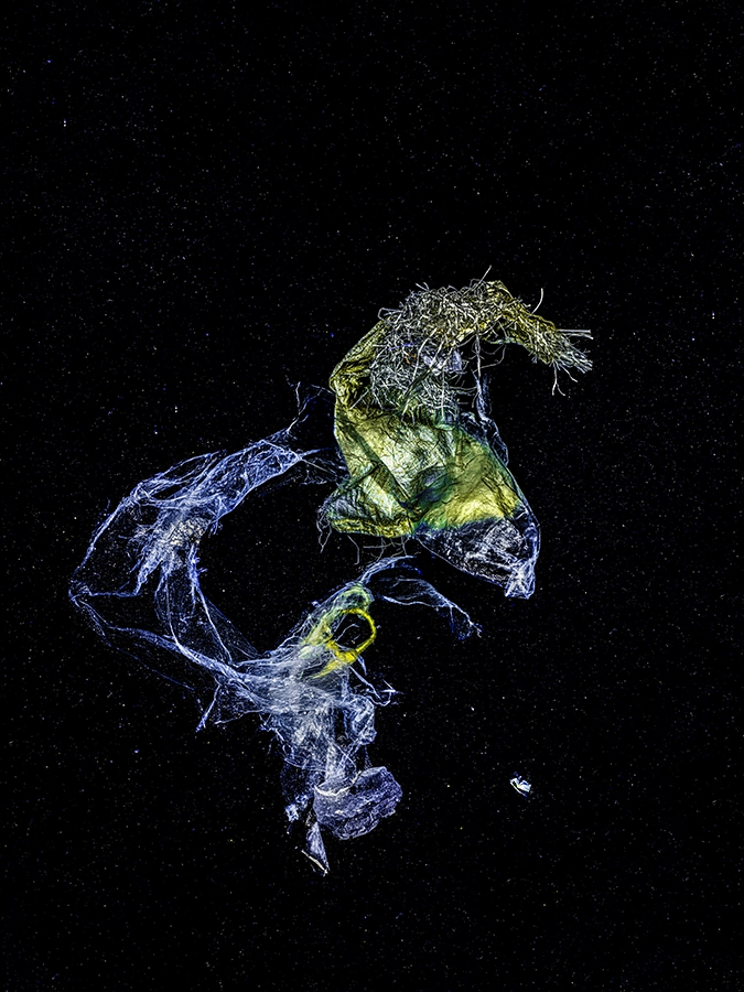 Neptune's Steed – limited edition underwater fine art photograph by Alexej Sachov